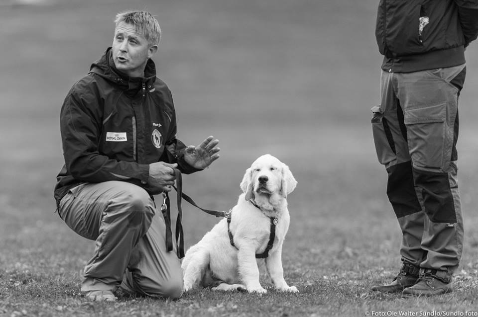 Hundekurs