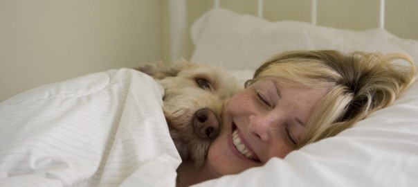 Hundekurs 1 dag i uken