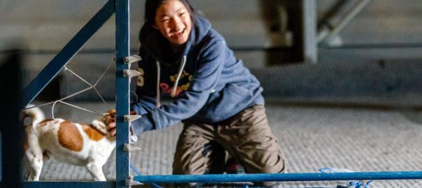 Tirsdagsklubben-Hundekurs