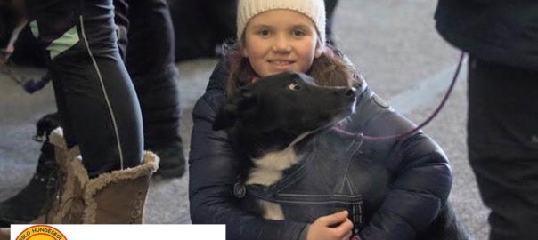 Nyhetsbrev Oslo Hundeskole avd Øvre Romerike
