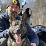 hjelp til hund med problematferd