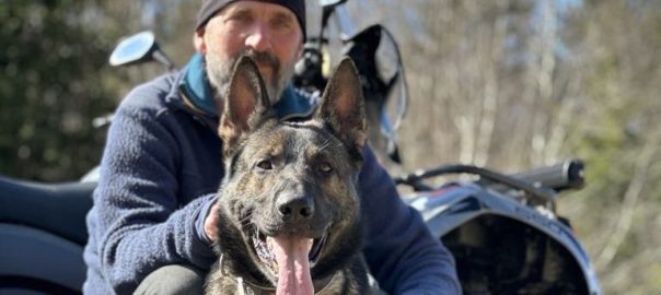 hjelp til hund med problematferd