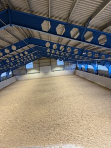 Moro og mestring – Agilitykurs intro