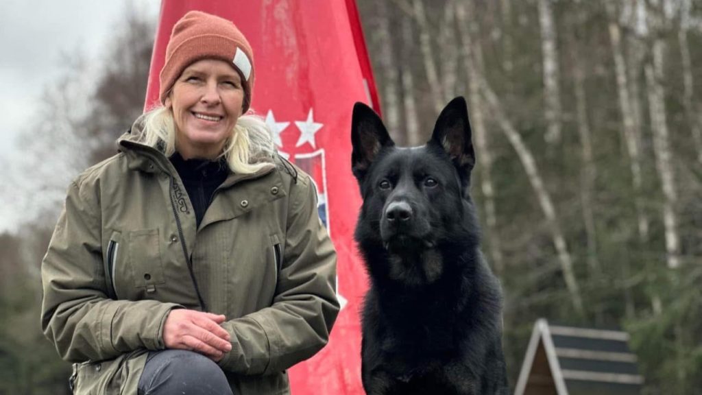 Hjelp til hund med problematferd på Øvre Romerike