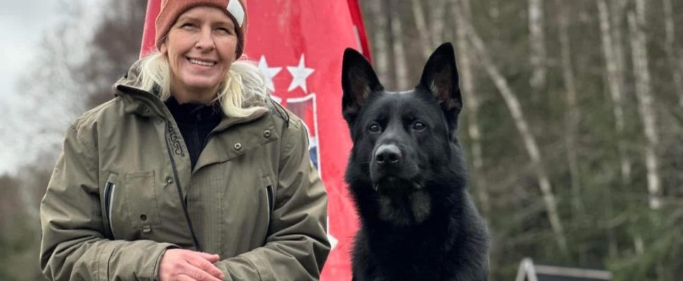 Hjelp til hund med problematferd på Øvre Romerike