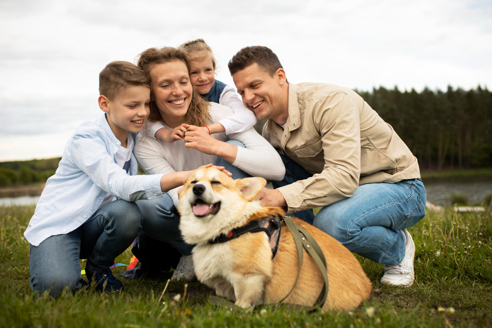 Hundeeiere trener hunder på kurs