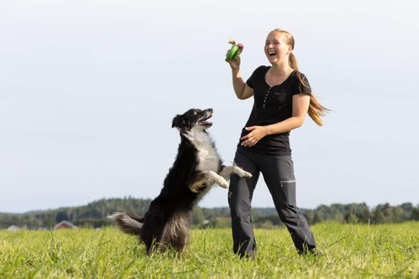 Hundetrening hos Oslo Hundeskole