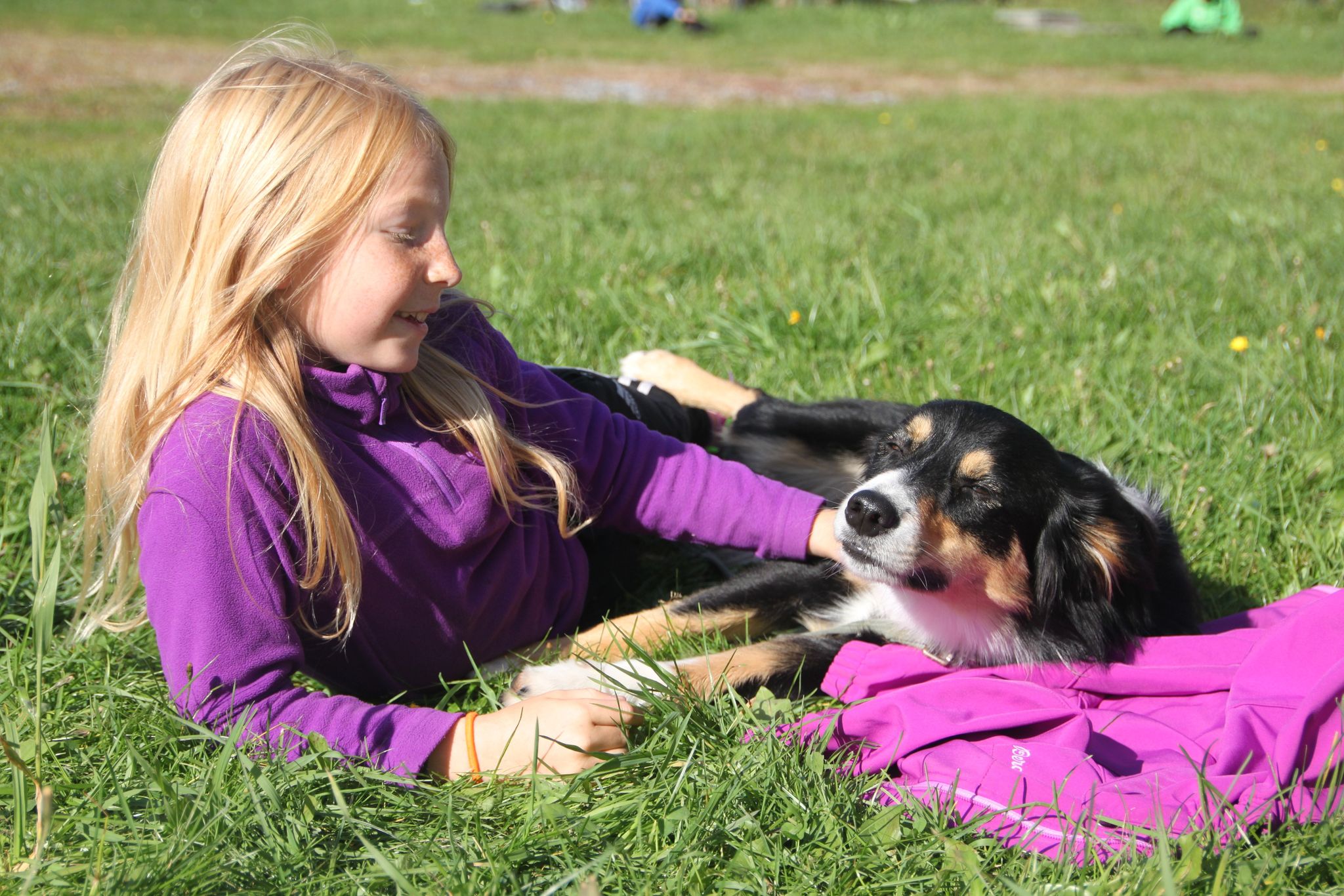 Hundetrening hos Oslo Hundeskole