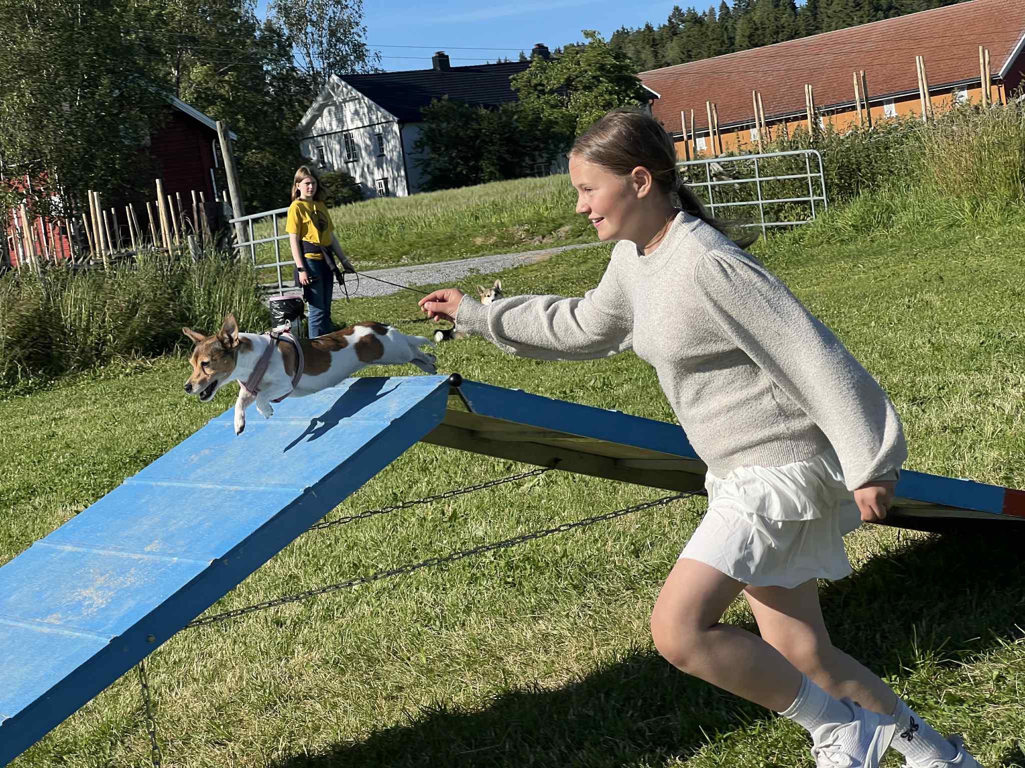 Hundetrening hos Oslo Hundeskole