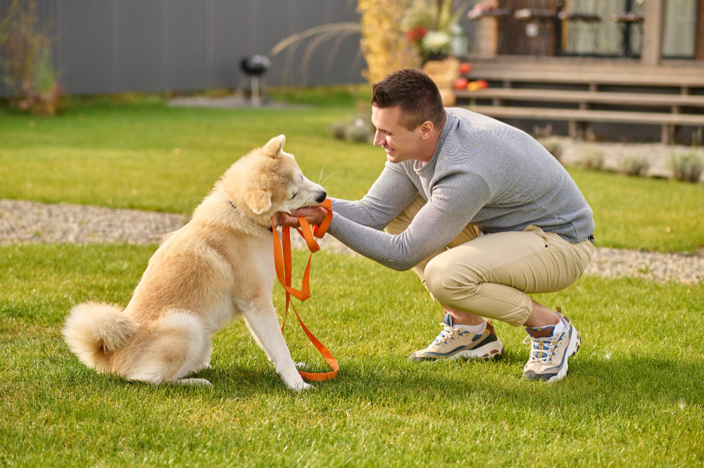 Hund på kurs i Øvre Romerike