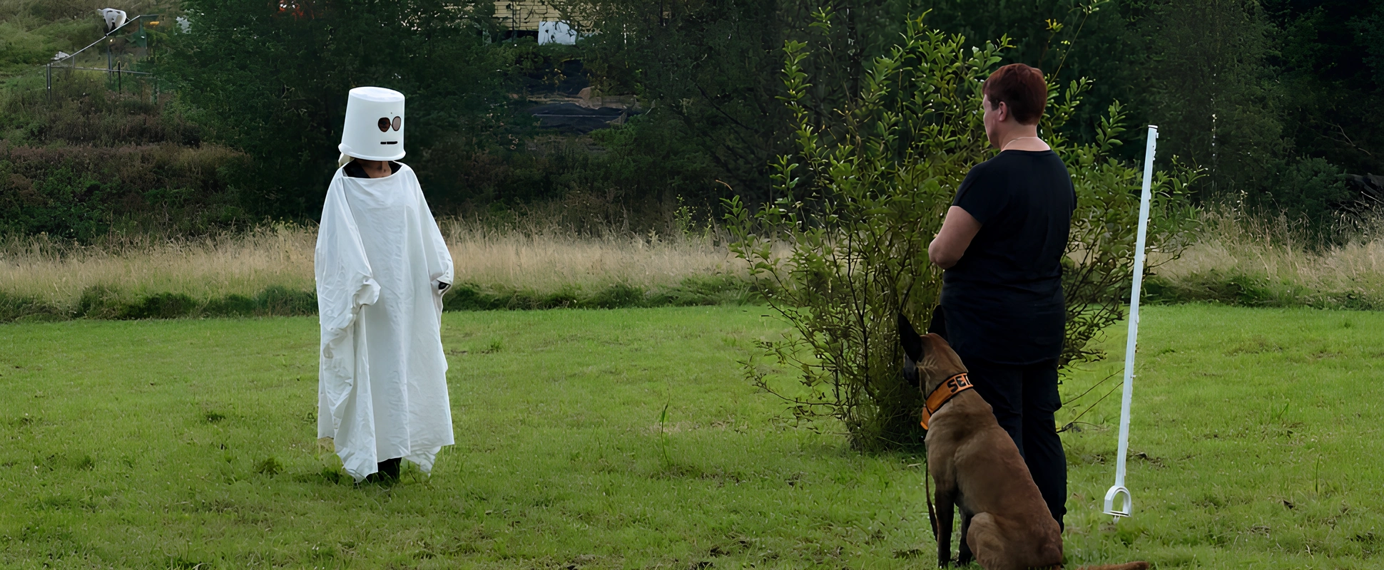 Hund og eier på treningskurs