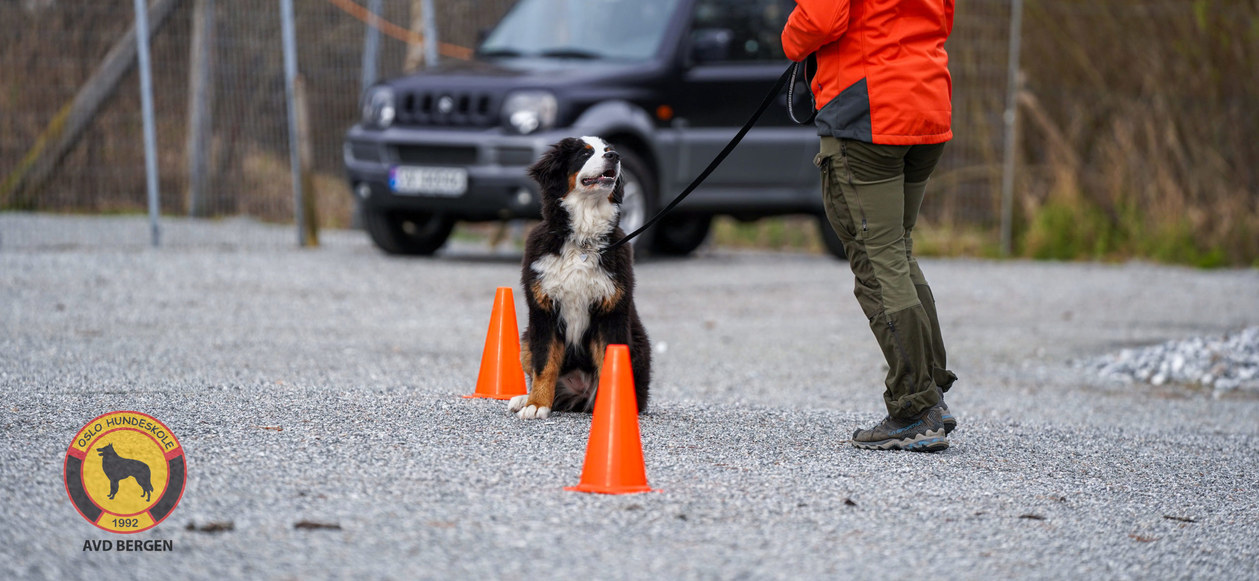 Hundetrening hos Oslo Hundeskole
