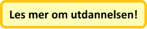 Bli hundeinstruktør – modul 2
