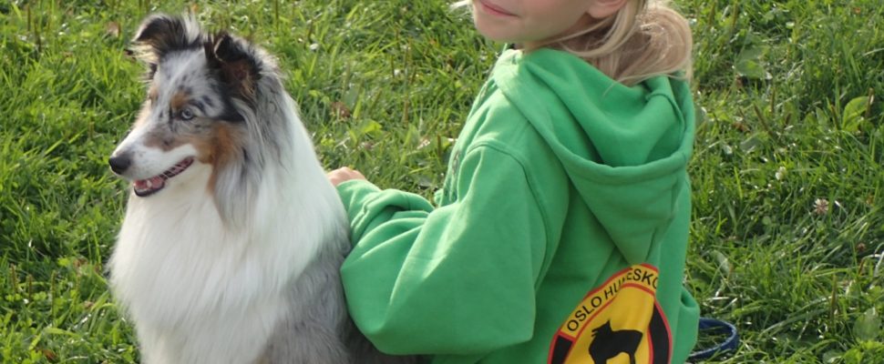 Hundetrening utendørs med instruktør