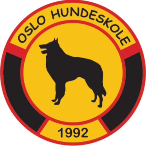 Hundetrening hos Oslo Hundeskole