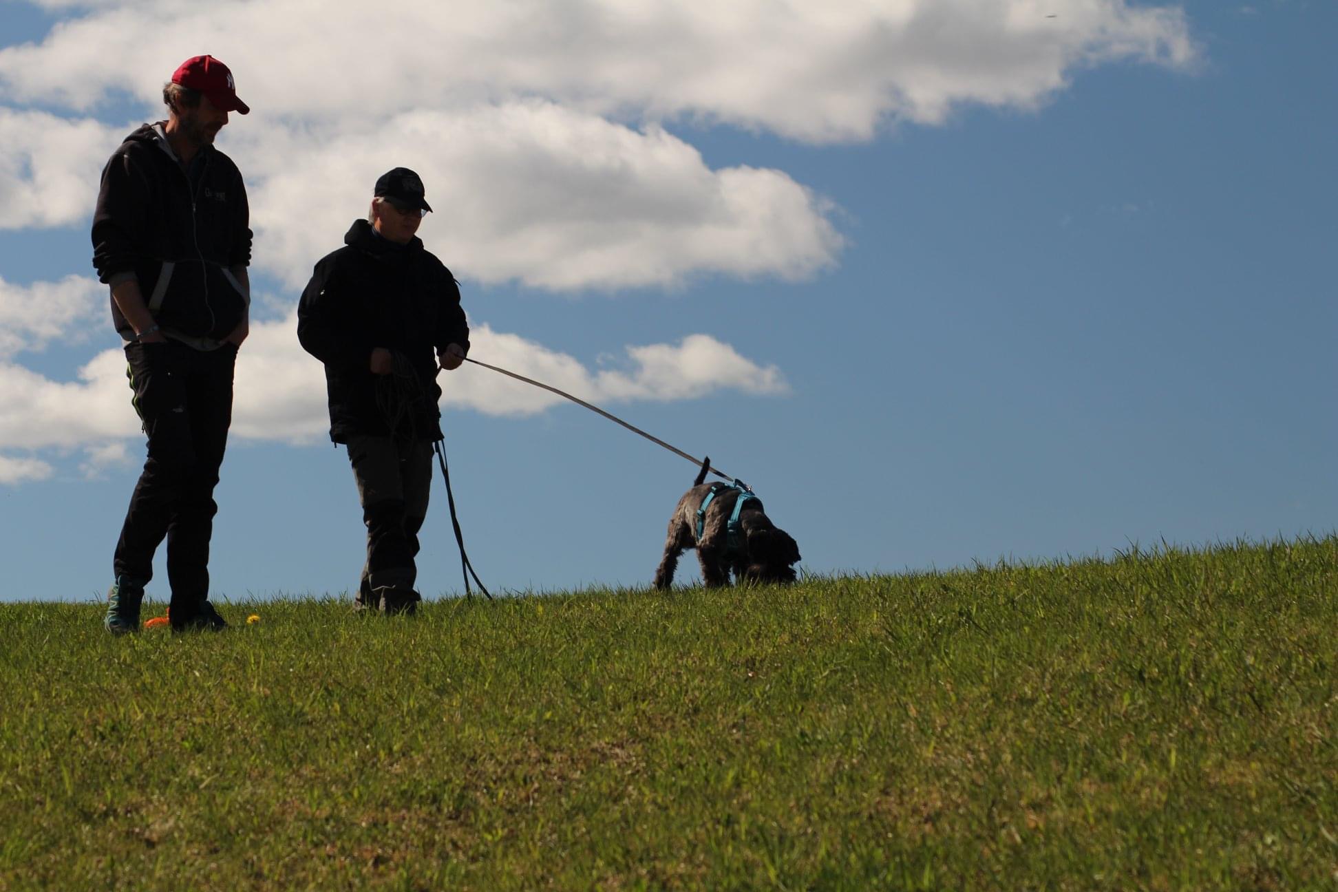 Hund og eier på blodsporkurs