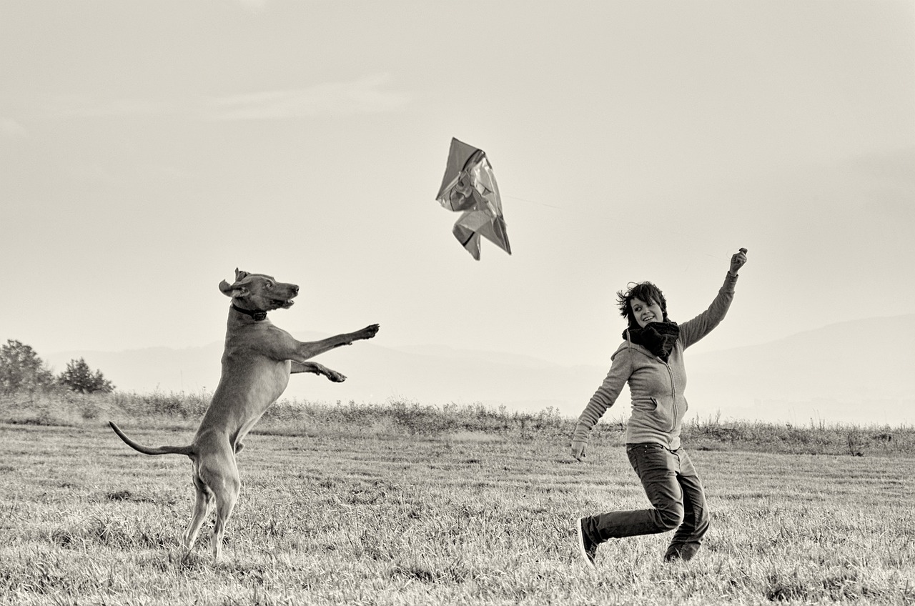 Man-and-Hund-2207966_1280