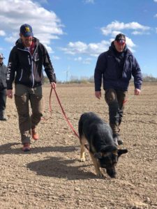 Sportrening hund – mer enn mosjon, en vei til balanse