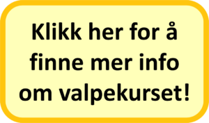 Og husk – vi er her for deg.