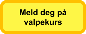 Meld deg på valpekurs her