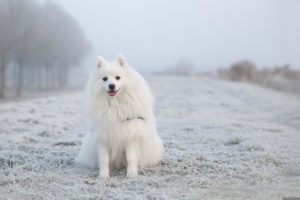 Og føler du nå at du er inne i en av disse fasene? Da kan grunnkurset hjelpe deg!
