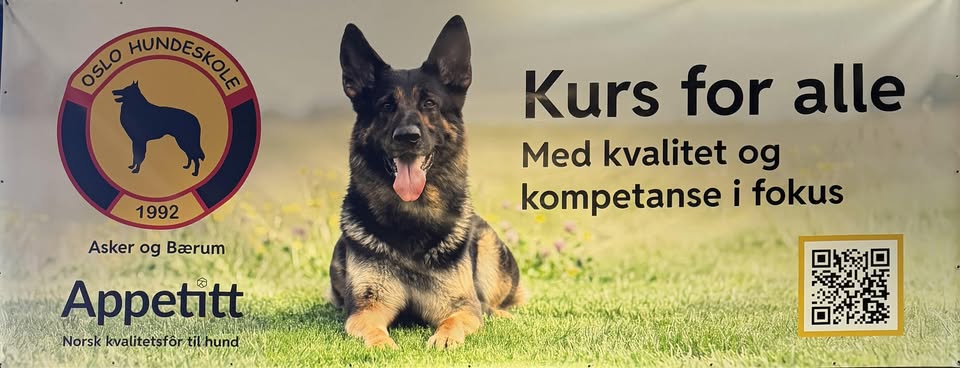 Se alle våre kurs